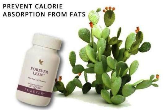 forever-lean-prevents-calorie-absorption